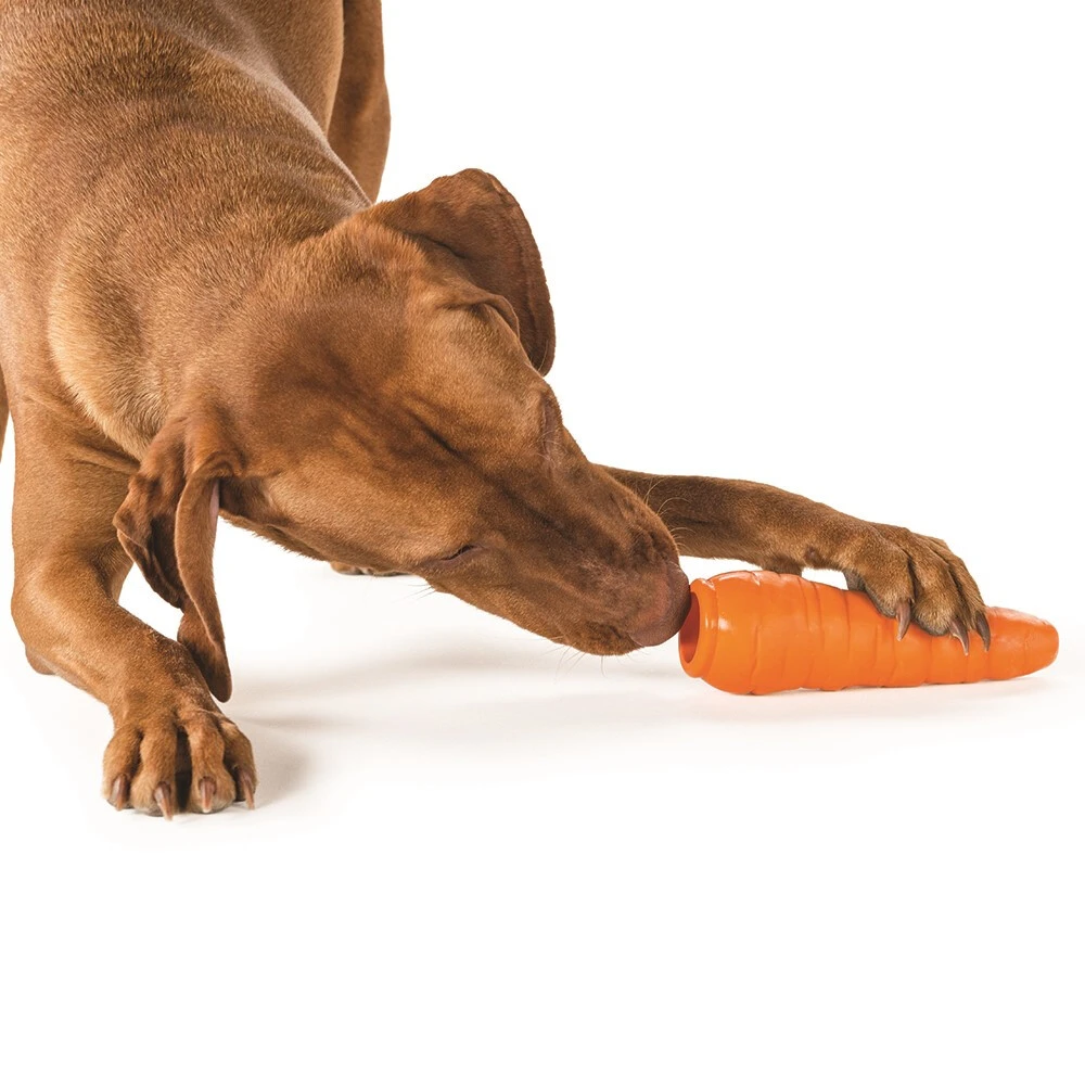 Jouet Orbee-Tuff En Forme De Carotte Pour Chiens - Planet Dog 4 Jouet Orbee-Tuff En Forme De Carotte Pour Chiens - Planet Dog – Image 2