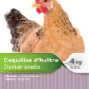 Supplément D'Écailles D'Huître Pour Poules 4kg - Maska 1 Supplément D'Écailles D'Huître Pour Poules 4kg - Maska -Rocky Soldes Boutique pp3010 1 1 optimize