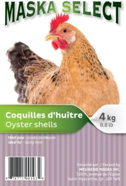 Supplément D'Écailles D'Huître Pour Poules 4kg - Maska