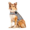 Gilet Anti-Stress Gris Pour Chiens Et Chats - ThunderShirt Sport -Rocky Soldes Boutique ps00120 1 optimize