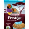 Premium Prestige Tropical Finches - Pinson -Rocky Soldes Boutique rb421512 1 optimize
