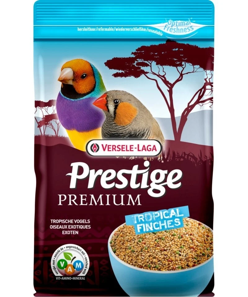 Premium Prestige Tropical Finches - Pinson 3 Premium Prestige Tropical Finches - Pinson