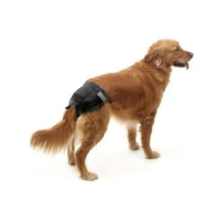 Couches Jetables Comfort Nappy Pour Chiens - Savic -Rocky Soldes Boutique rd3381 4 optimize