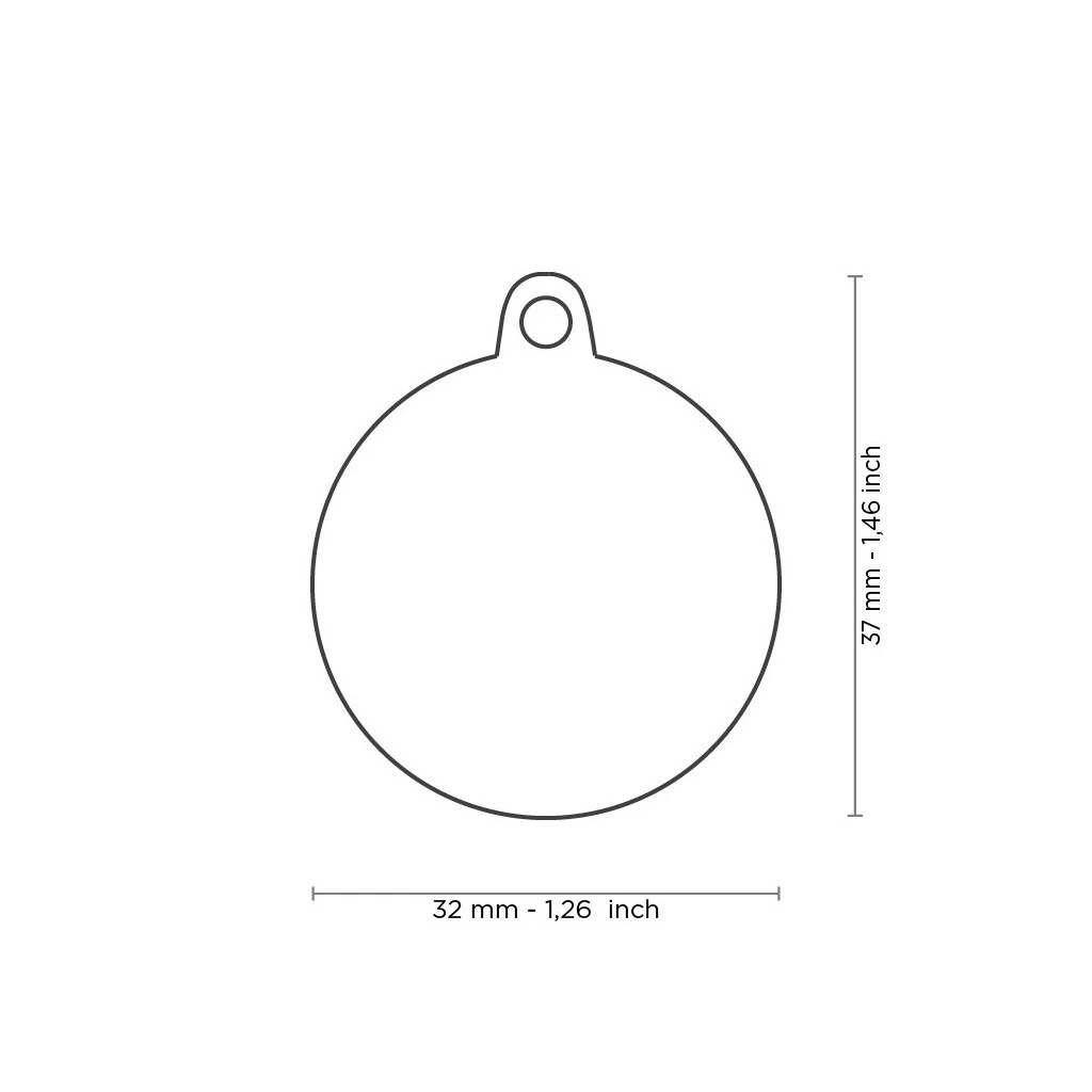 Médaille Pour Animaux The Boss Métalique - MyFamily 5 Médaille Pour Animaux The Boss Métalique - MyFamily – Image 3