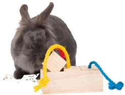 Jeu De Stratégie Cube Snack Pour Rongeurs - Trixie -Rocky Soldes Boutique tr9002 3 optimize