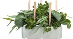 Mangeoire En Céramique Pour Petits Animaux - Trixie 5 Mangeoire En Céramique Pour Petits Animaux - Trixie -Rocky Soldes Boutique tr9024 2 optimize