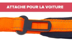 Laisse Orange Bungee Avec Attache De Voiture Pour Chien - Le Bon Chien 6 Laisse Orange Bungee Avec Attache De Voiture Pour Chien - Le Bon Chien -Rocky Soldes Boutique y00310 4 optimize