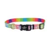 Collier De Nylon Coeur Multicolore Pour Chiens - Lazer Brite -Rocky Soldes Boutique y05904 1 optimize