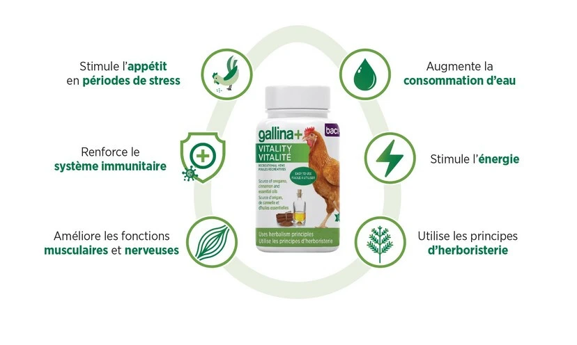Supplément Vitalité Gallina+ Pour Poules - Baci+ 4 Supplément Vitalité Gallina+ Pour Poules - Baci+ – Image 2