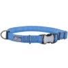 Collier Réfléchissant Pour Chiens Bleu - K9 Explorer -Rocky Soldes Boutique y36464 1 optimize