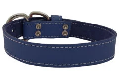 Collier Bleu En Cuir Simple Pour Animaux - Arizona