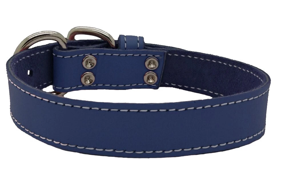 Collier Bleu En Cuir Simple Pour Animaux - Arizona 3 Collier Bleu En Cuir Simple Pour Animaux - Arizona