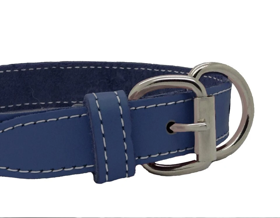 Collier Bleu En Cuir Simple Pour Animaux - Arizona 4 Collier Bleu En Cuir Simple Pour Animaux - Arizona – Image 2